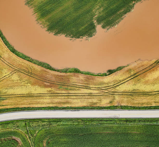istock Aerial View of Crop Damage 2162193198