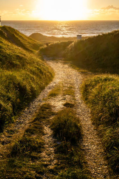 istock Hirtshals, Denmark  A path through a dune landscape at sunset. 2162194244