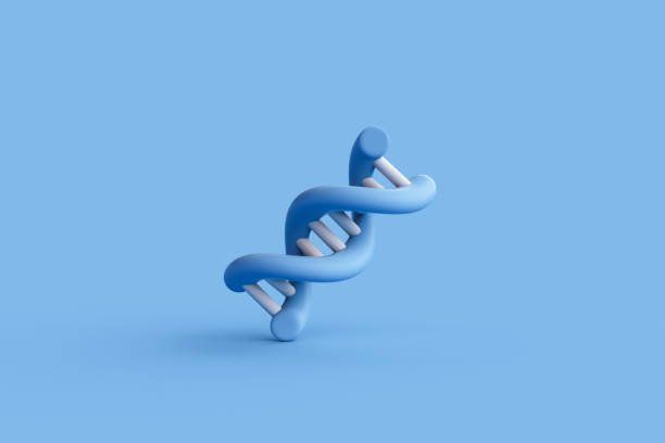 istock 3d rendering of DNA, Molecular Chemistry, Physics Science concept. 2162198341