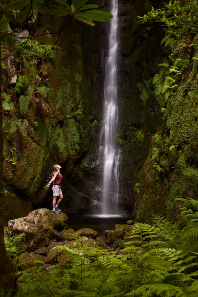 istock Young female hiker by the waterfall in the rainforest. 2162201409