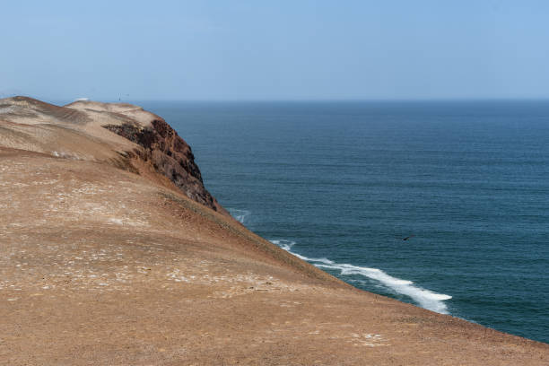 Paracas Reserve's Pristine Coastline