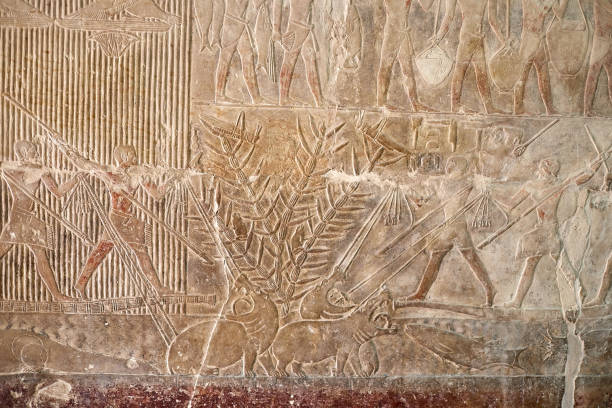istock Ancient Egyptian men engaged in hippopotamus hunting 2162203987