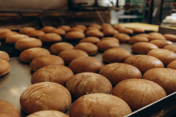 Automatic production line bakery Baked breads from hot oven.