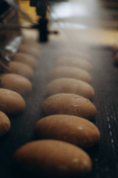 istock Fresh buns from the oven. Conveyor with bread. Baking bread. Workshop for production of bread. White bread in the oven. Hot buns. Confectionery. 2162208787