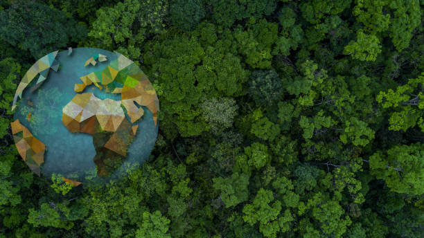 istock aerial view green forest tree texture and background, Natural green forest tree background, Tropical rainforest tree ecosystem environment, Texture and background of green tree forest. 2162210949