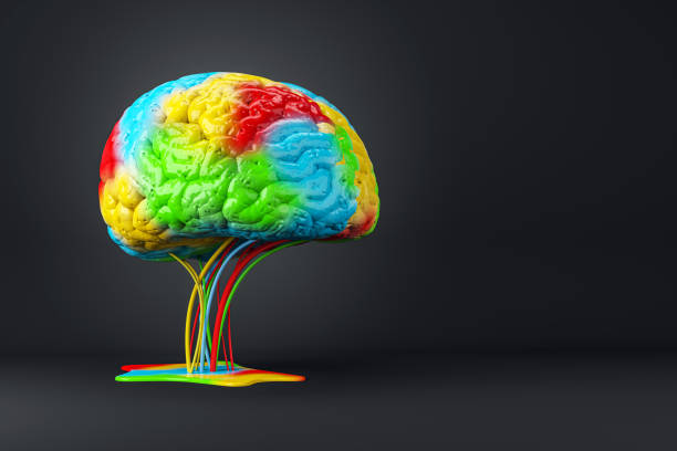 istock A colorful brain model with cables on dark background, concept of creativity and ideas. 3D Rendering 2162211030