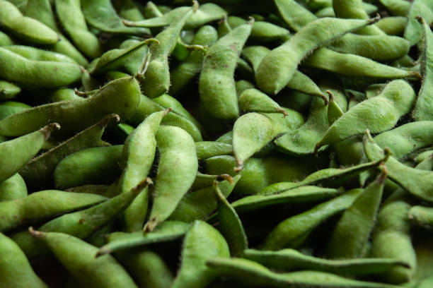 A detailed close-up shot of fresh, vibrant green soybeans (edamame) placed on a clean surface, captured in an indoor studio. The natural shine and texture of the soybeans are highlighted, showcasing their freshness and quality. Ideal for food-related content, health, or vegan recipes. The image is perfect for food photography, marketing, and nutrition-focused websites or social media platforms.