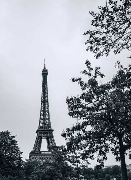 istock The Eiffel Tower stands tall against a cloudy sky, framed by the branches of trees. 2162212525