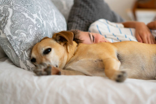 istock Boy with his dog resting in bed 2162212676