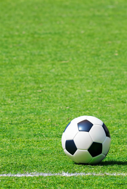 Soccer ball on the grass