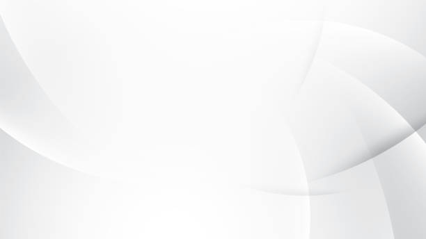 istock Abstract white and gray color, modern design stripes background with geometric round shape. Vector illustration. 2162213945
