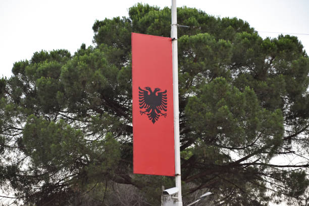 istock Albanian Flag 2162216483