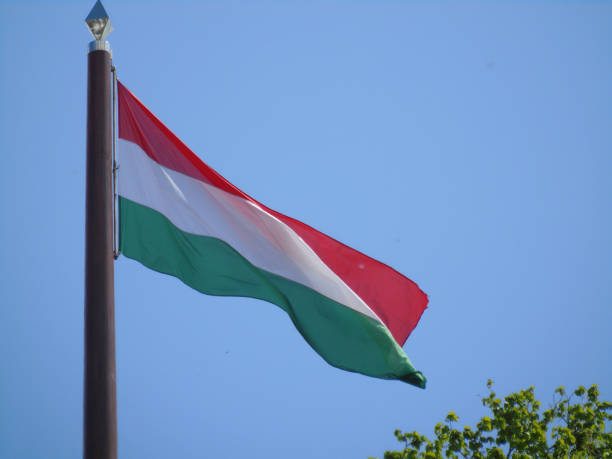 istock Flag of Hungary 2162216798