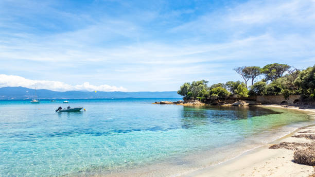 Tranquil Bay with Boats and Lush Green Shoreline on a Sunny Day in Corsica. stock photo