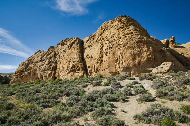 Rock Springs with White Mountain with Petroglyphs