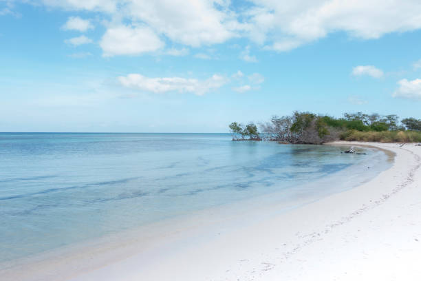 istock Caribbean beaches of Cuba 2162228517