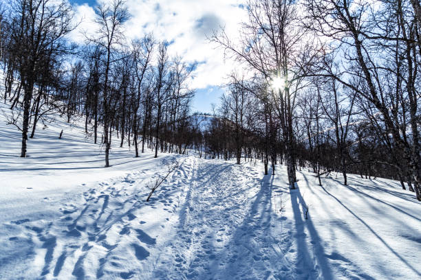 Norwegian natural landscape winter footpath near Tromso Northern Norway Scandinavia Europe