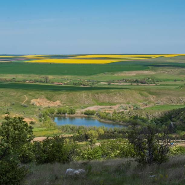 istock Landscapes -  Forest - Europe, Romania 2162233348