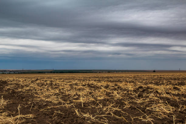 istock Landscapes -  Forest - Europe, Romania 2162233382