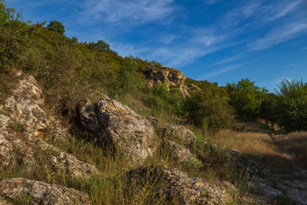 istock Landscapes -  Forest - Europe, Romania 2162233458