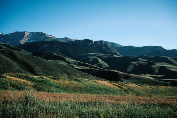 Morning rays highlighting green mountain ridges