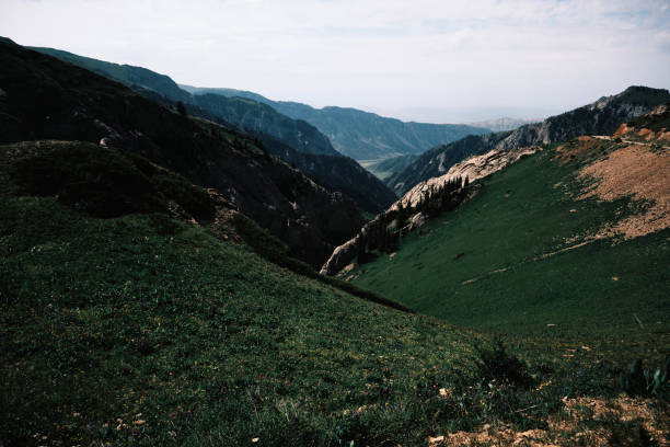 istock Mountain peaks 3500 m high covered by grass and spruce tree groves 2162236089