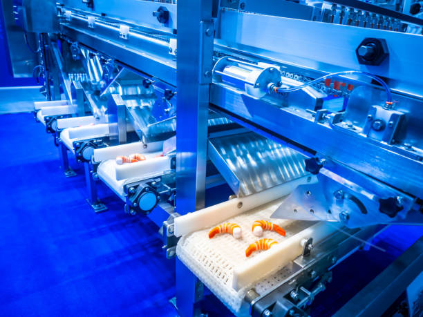 istock Conveyor. Seafood processing equipment. Shrimp processing line. Seafood. Conveyor line for food production. Food industry. 2162237836