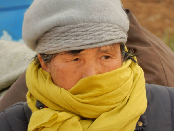 Luoyang, Henan Province, China - January 20, 2017: A woman in a hat and scarf selling fresh fruit and vegetables at a market in rural China.