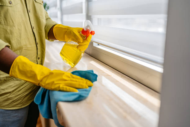 Young Man Cleaning His Window Sill At Home