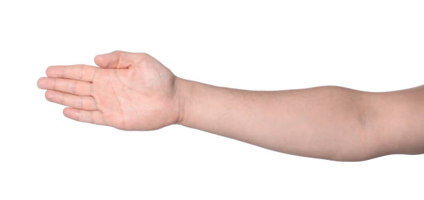 istock Man showing palm on white background, closeup 2162245792