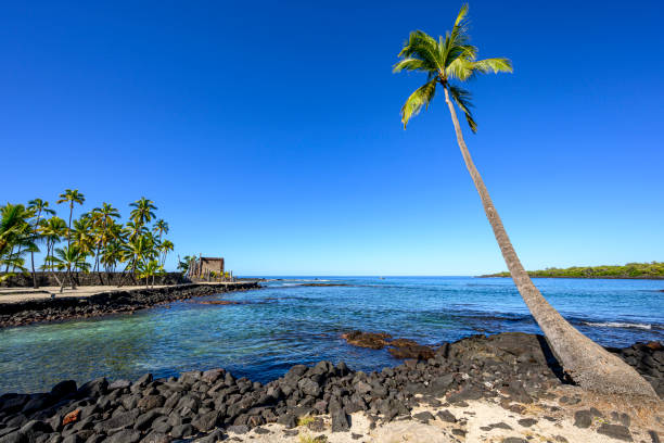 istock Beautiful lagoon in Hawaii 2162246662
