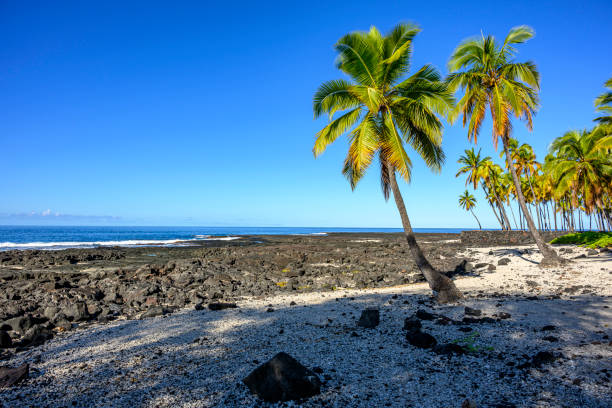 istock Beautiful Honaunau Bay in Hawaii 2162246664
