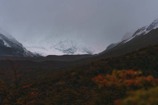 A mountain range covered in snow and trees. The sky is cloudy and the mountains are in the background