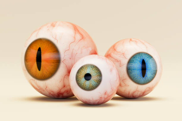 istock Halloween eyes, scary and bloody eyeballs 2162249601