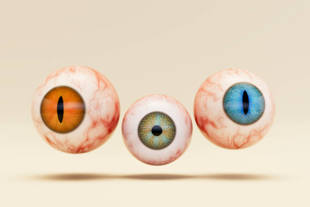 istock Halloween eyes, scary and bloody eyeballs 2162249721