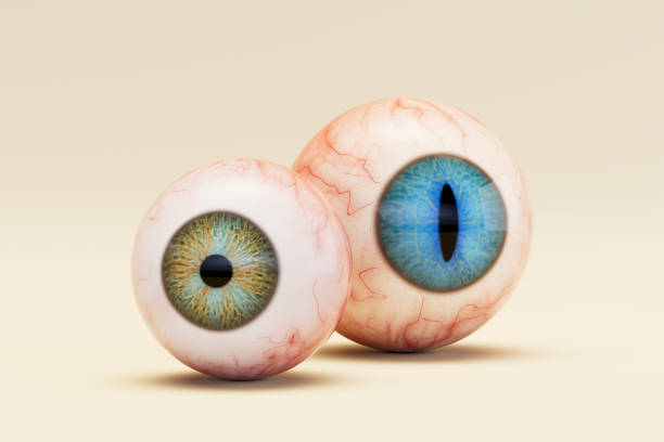 istock Halloween eyes, scary and bloody eyeballs 2162249740
