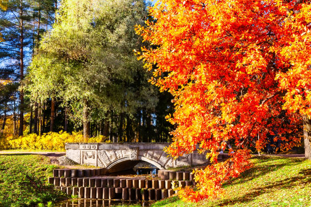 Wooden pedestrian bridge in the park during autumn in Poznan