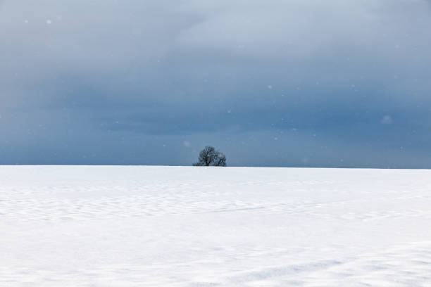 Snow in the north of Luxembourg. Weiswampach, Luxembourg, January 11th, 2026: winter time, a small town or village covered with snow