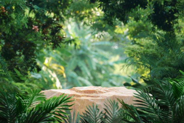 istock Stone tabletop podium floor in outdoors tropical garden forest blurred green leaf plant nature background.Natural product placement pedestal stand display,jungle paradise concept. 2162276614
