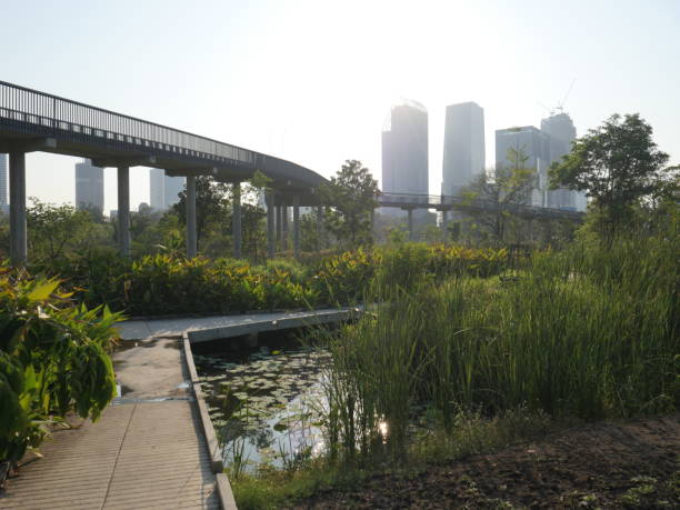 istock Elevated walkway, Bangkok Forest Park 2162280315