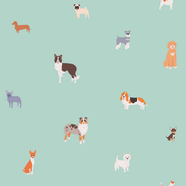 Groodle Vector 40+ Groodle Stockillustraties, royalty-free vector illustraties en ...
