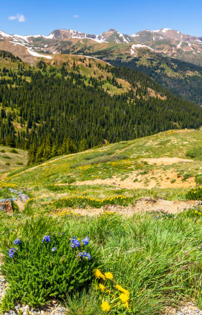 istock Scenic View from Loveland Pass, Colorado 2162283292