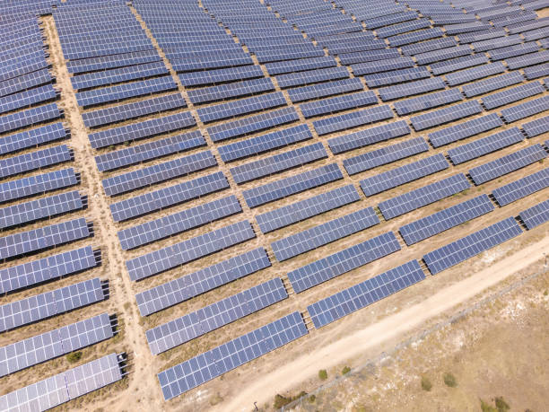 istock Rows of Solar Panels in a Large Solar Farm 2162287392