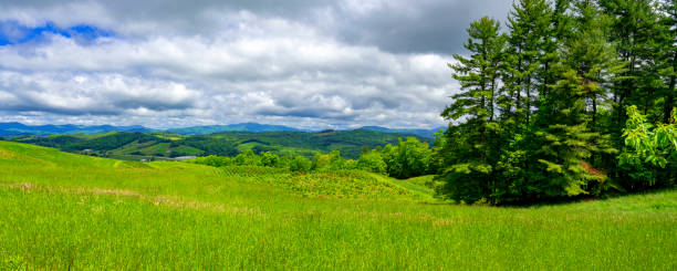 Panorama Along Blue Ridge Parkway: Osborne Mountain Overlook, Virginia