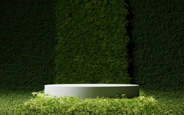 istock Empty stage product mockup podium presentation background, window, shadow, nature, plants 2162291383