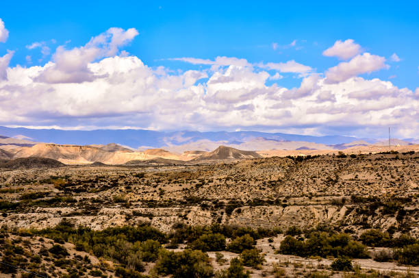 istock A desert landscape with a few trees and a mountain in the background 2162298478