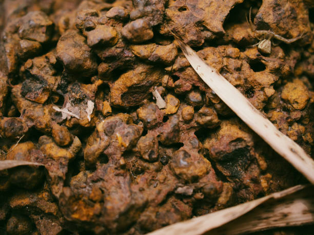 istock old rock detail 2162302857