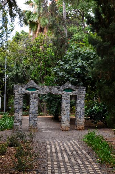 istock Santa Cruz de Tenerife park (Parque García Sanabria) 2162304597
