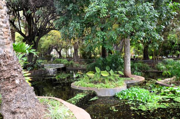 istock Santa Cruz de Tenerife park (Parque García Sanabria) 2162304647