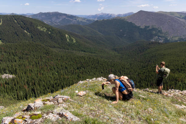 Hiking friends take photos in mountains above forest and valley